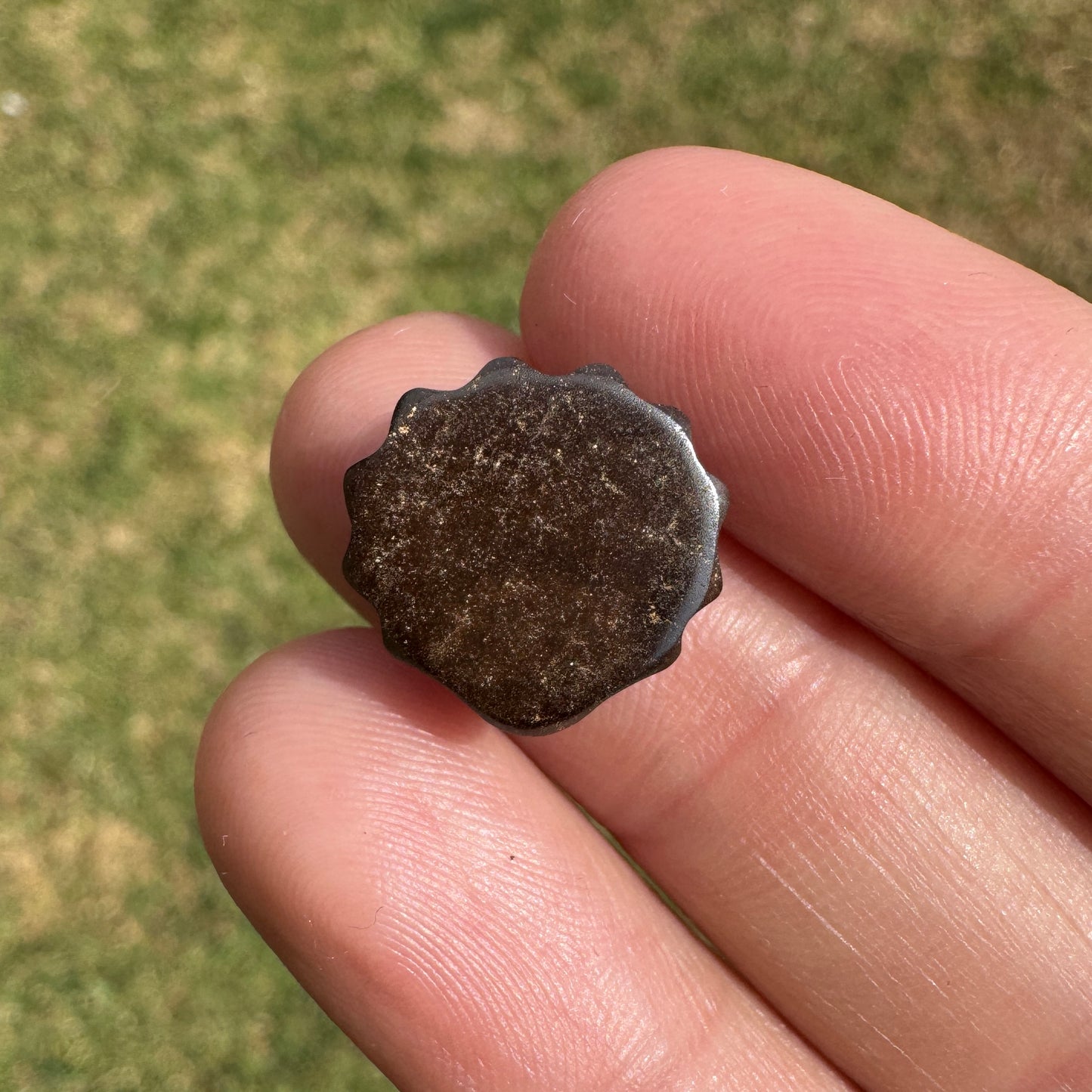 6.04 Ct fan shell boulder opal carving
