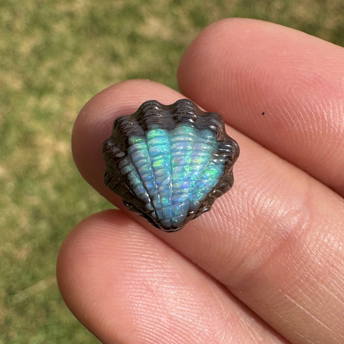 5.63 Ct fan shell boulder opal carving