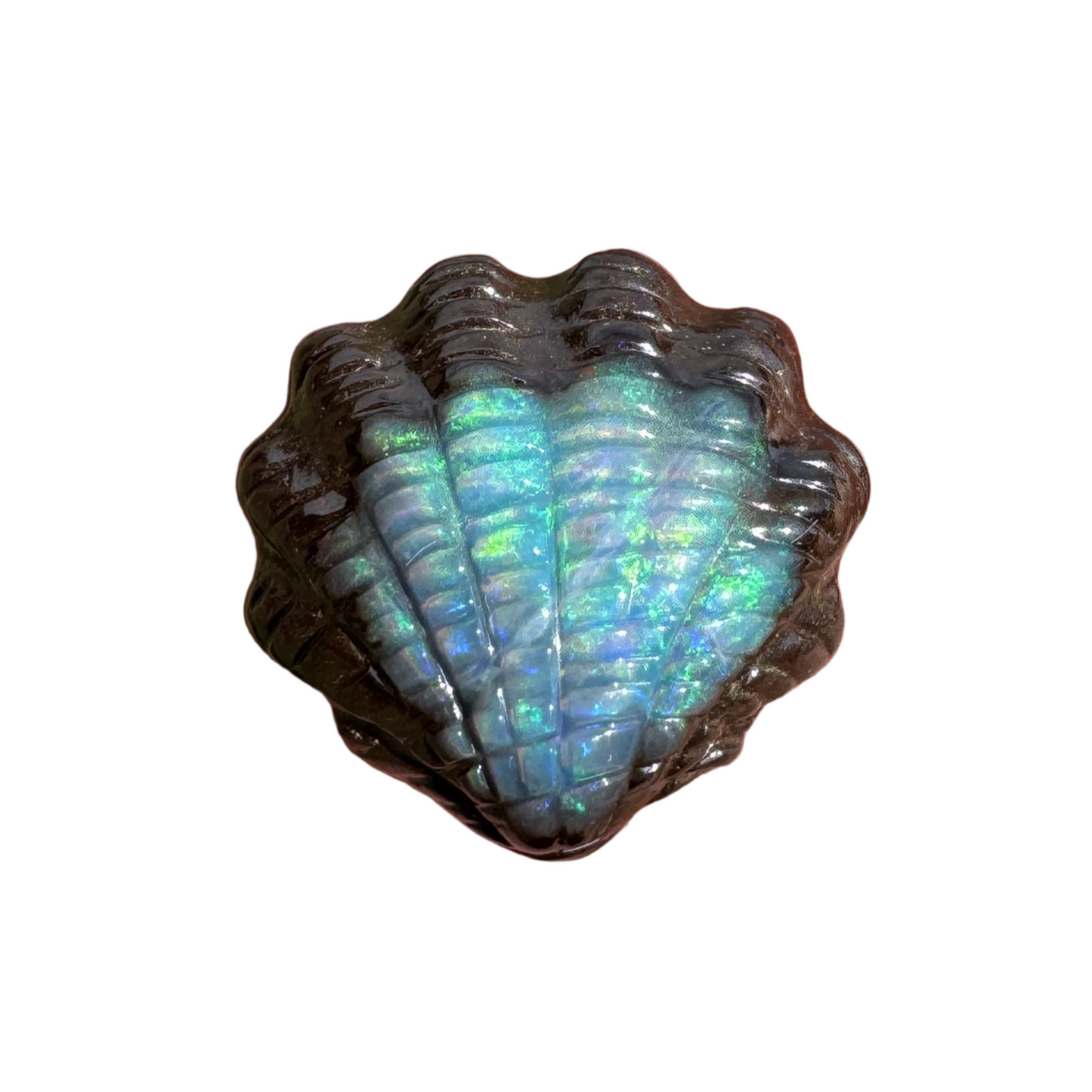 5.63 Ct fan shell boulder opal carving