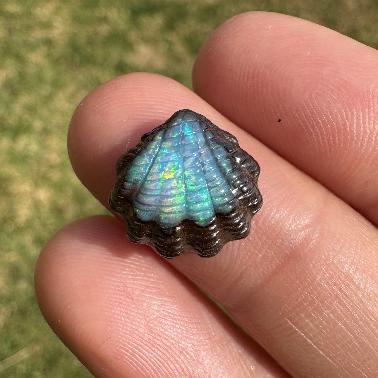 5.63 Ct fan shell boulder opal carving