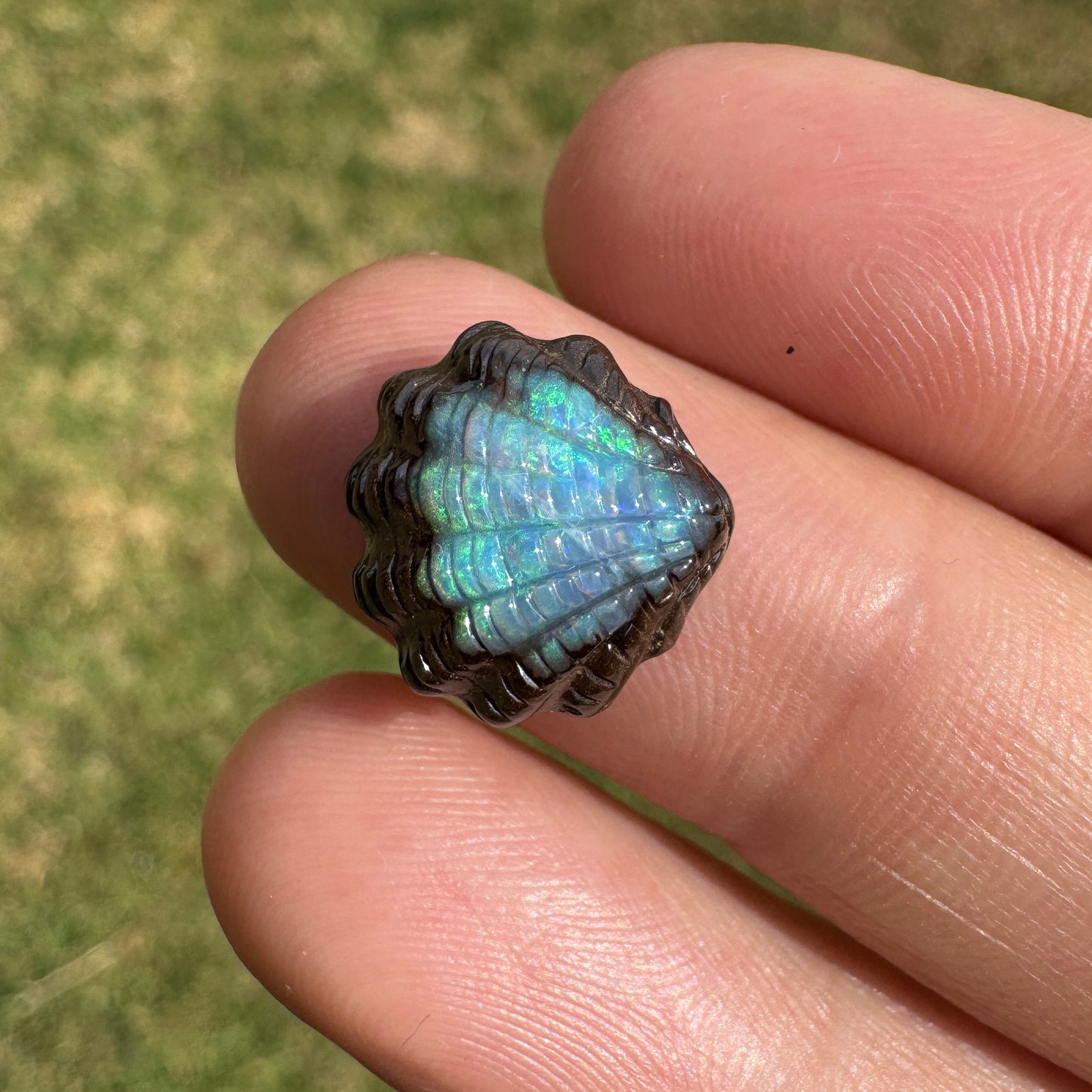 5.63 Ct fan shell boulder opal carving