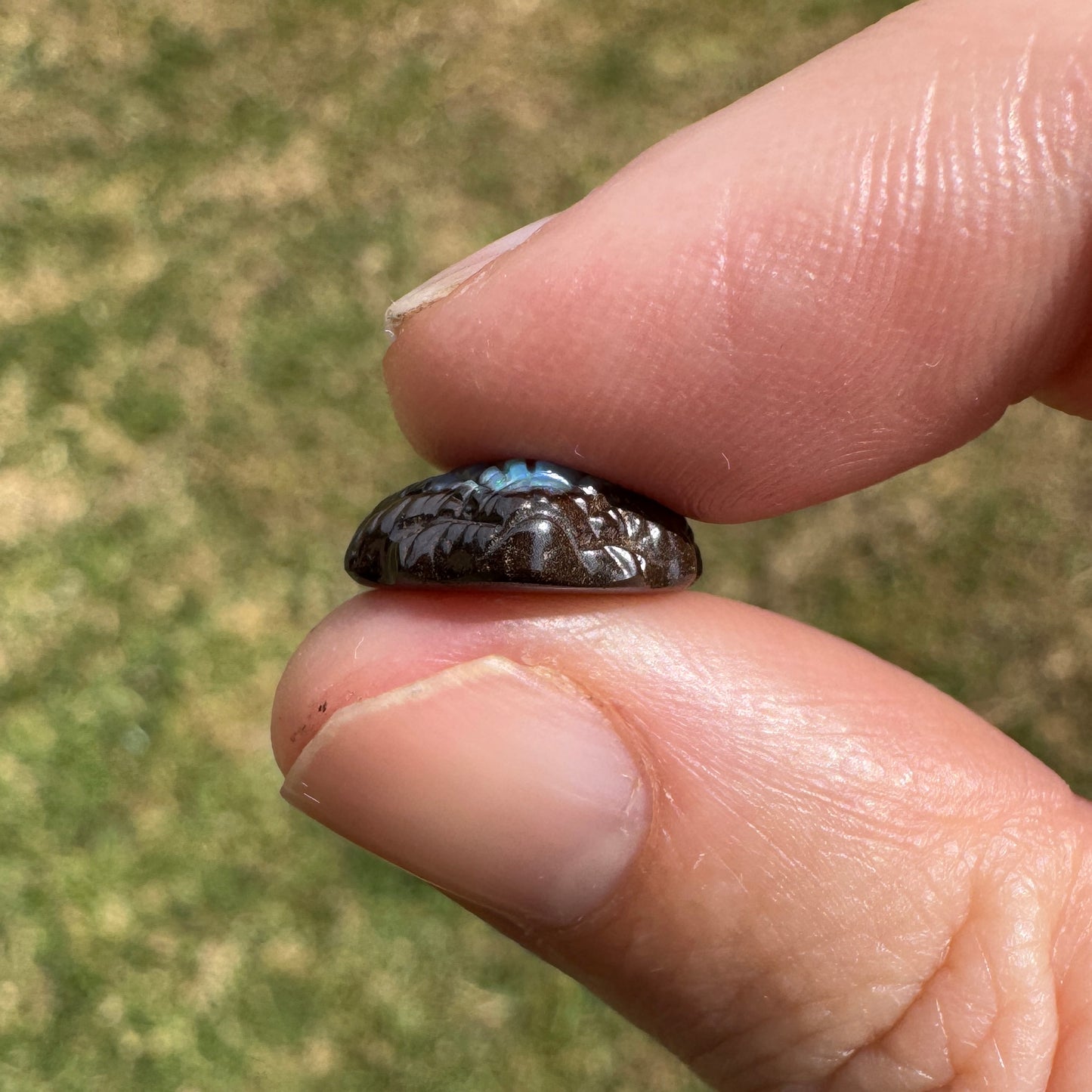 5.63 Ct fan shell boulder opal carving
