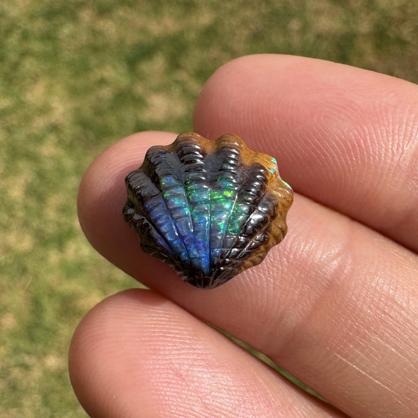 6.24 Ct fan shell boulder opal carving