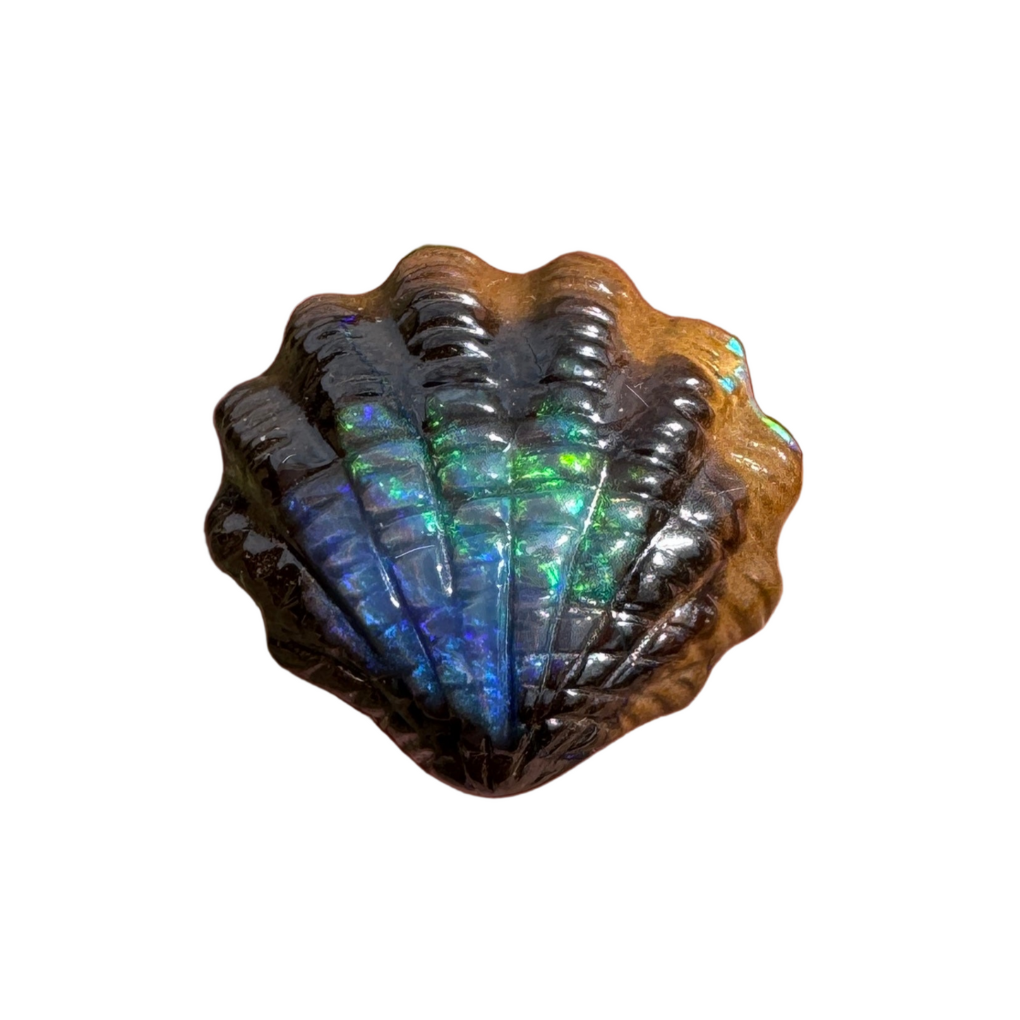 6.24 Ct fan shell boulder opal carving
