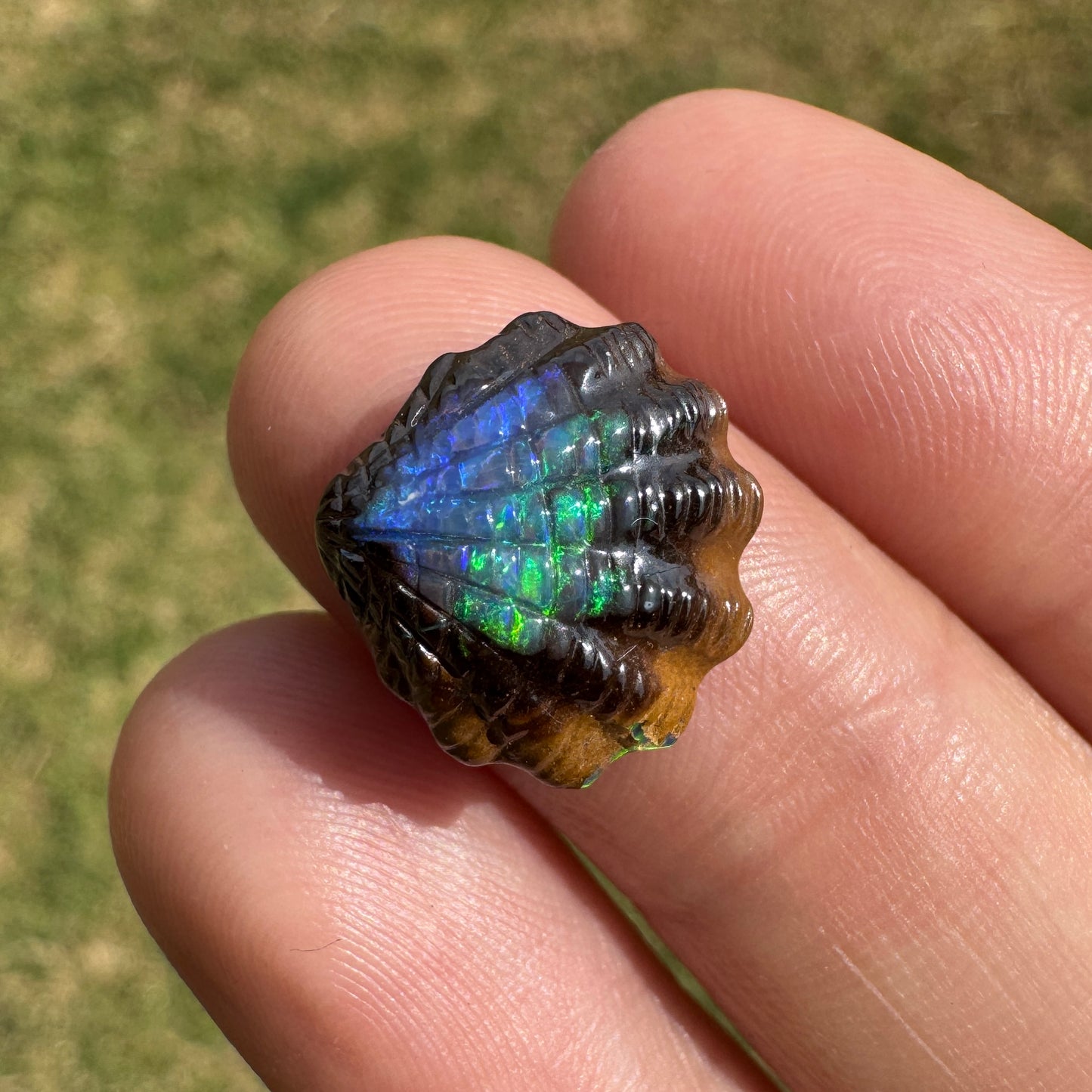 6.24 Ct fan shell boulder opal carving