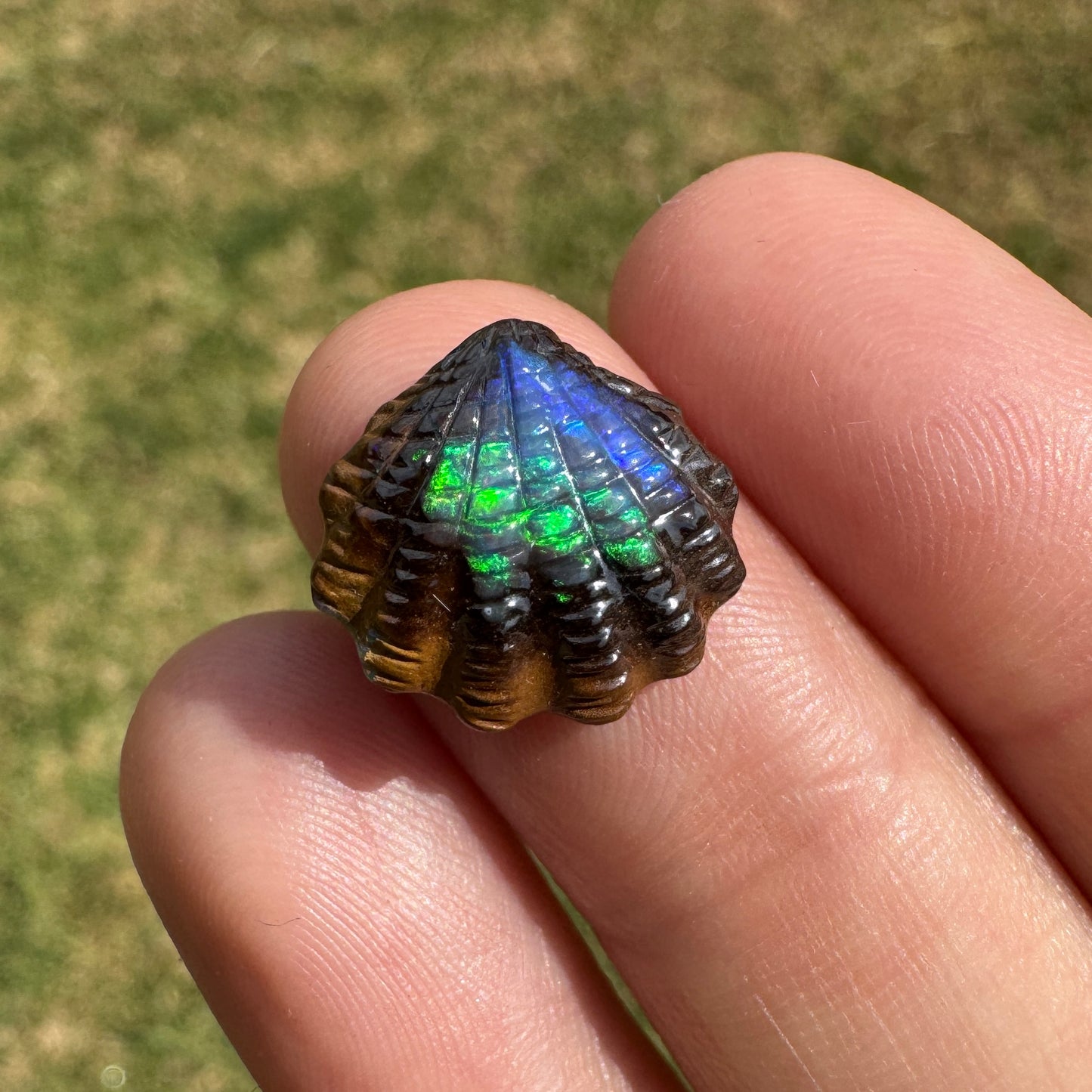 6.24 Ct fan shell boulder opal carving