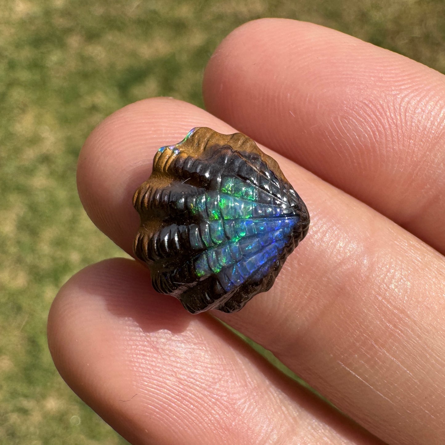 6.24 Ct fan shell boulder opal carving