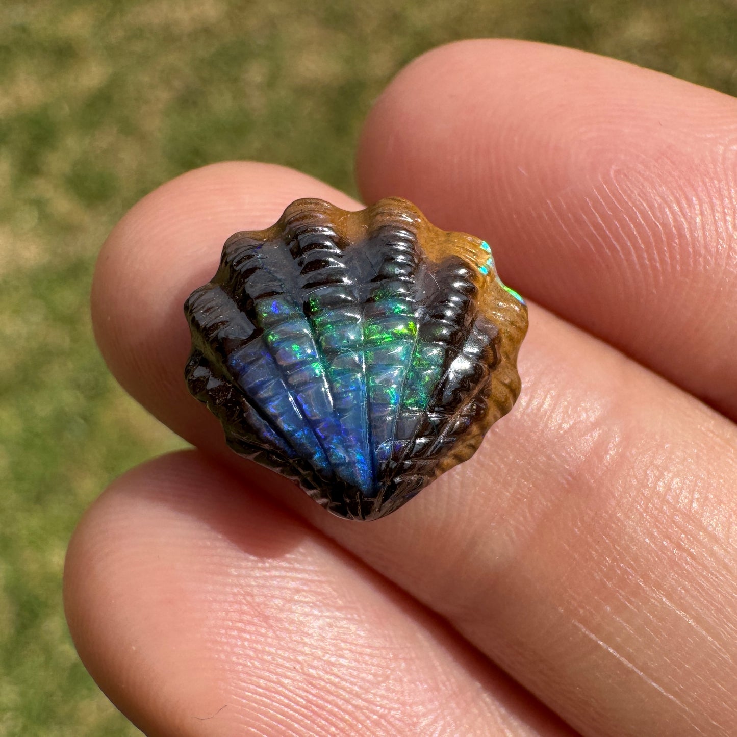 6.24 Ct fan shell boulder opal carving