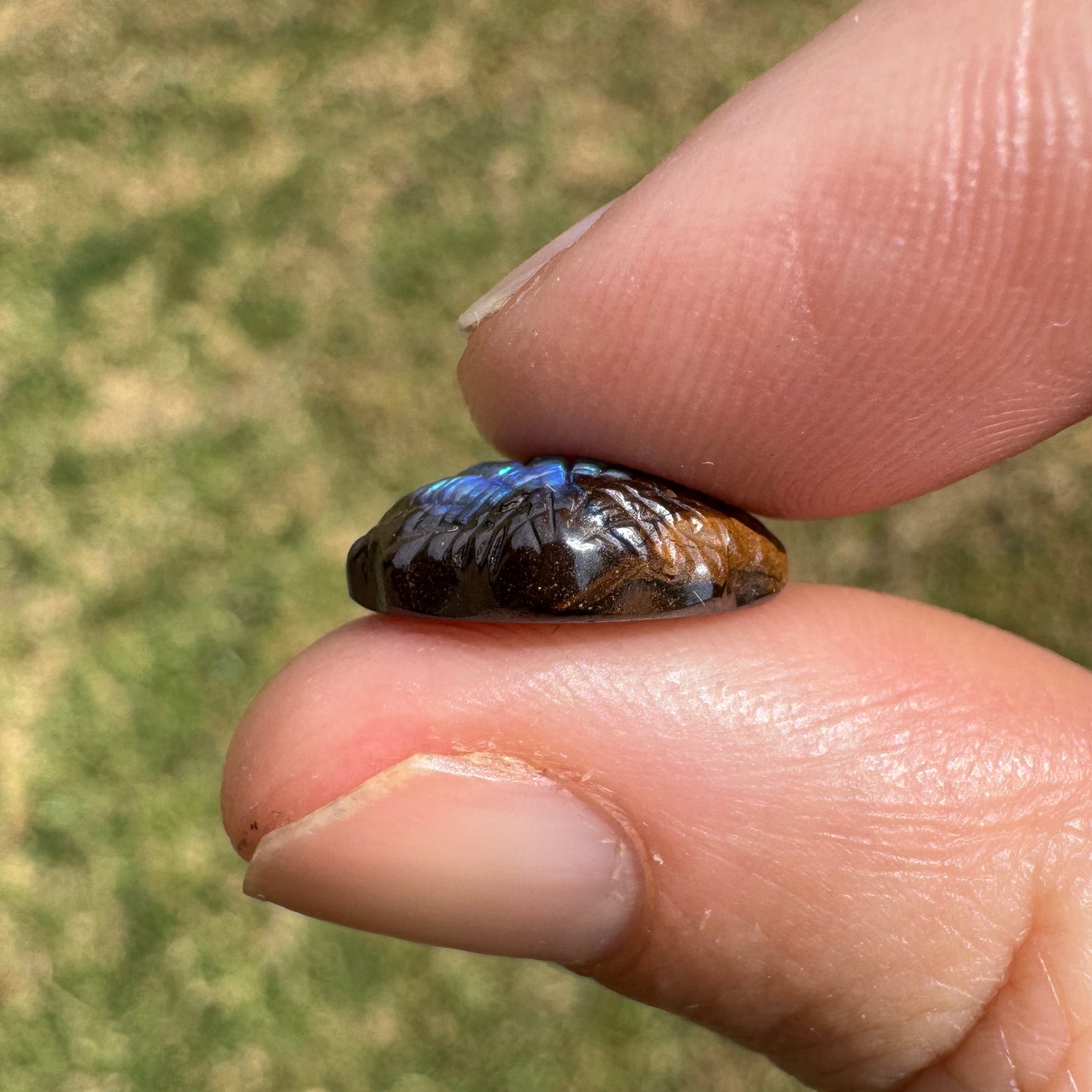 6.24 Ct fan shell boulder opal carving