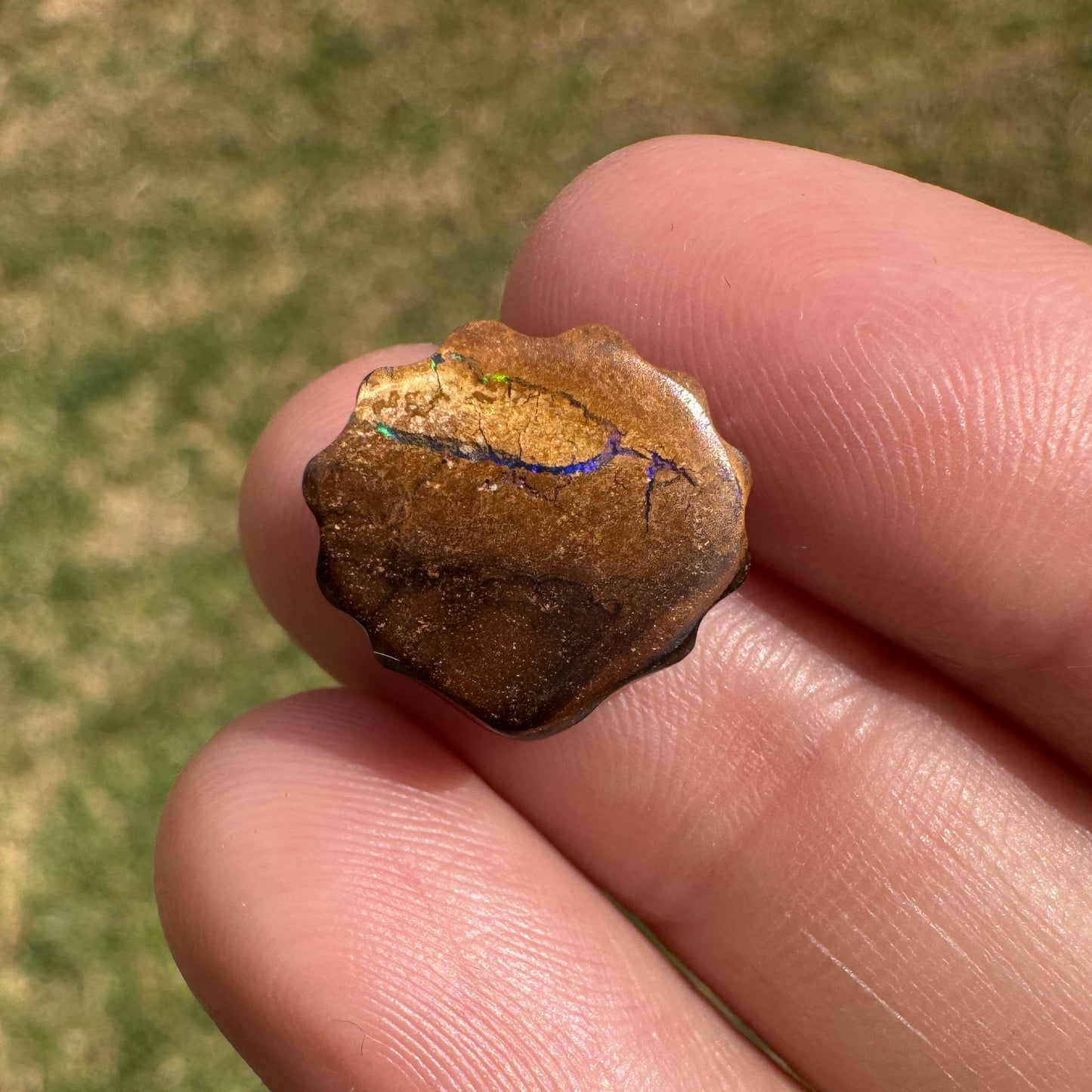 6.24 Ct fan shell boulder opal carving