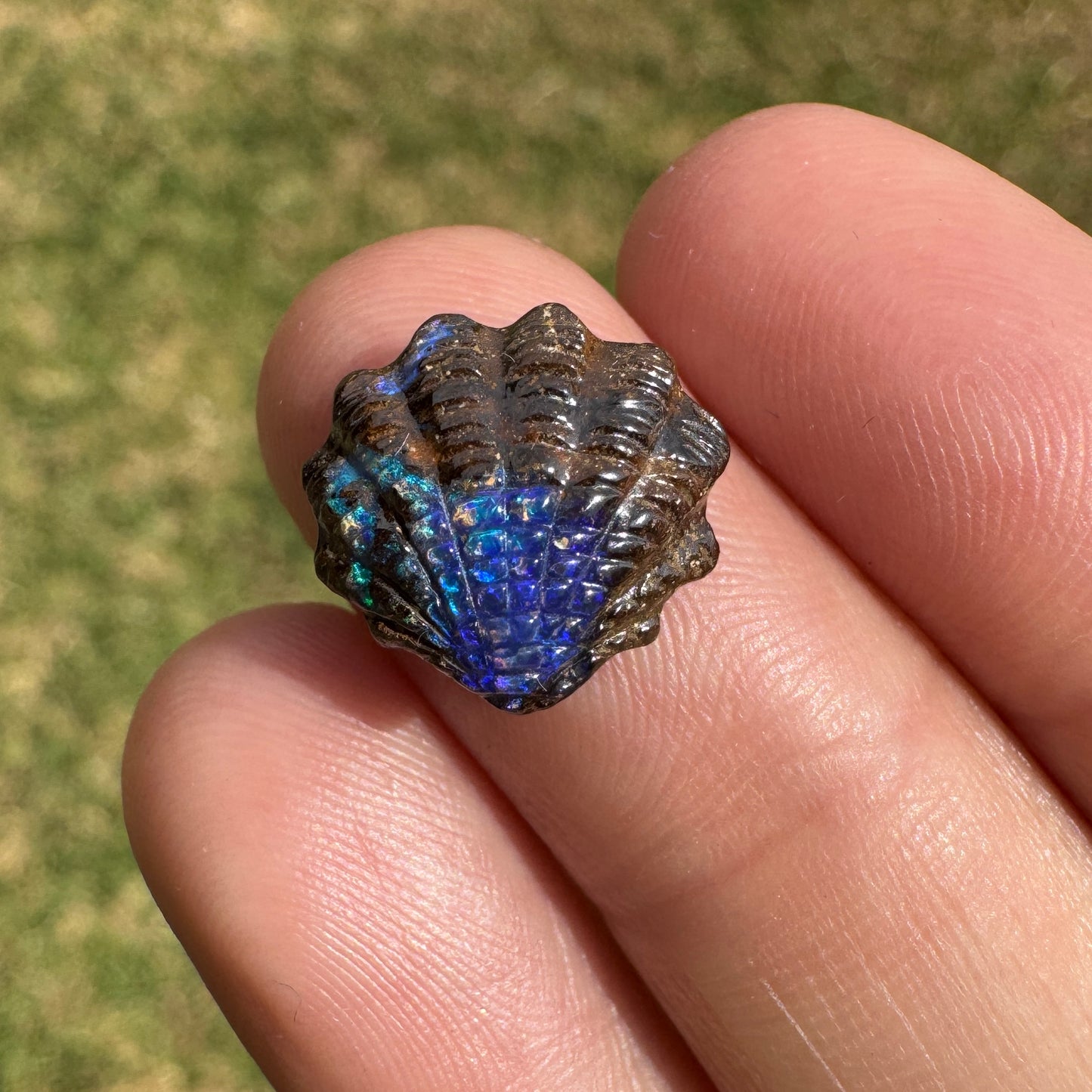 4.62 Ct fan shell boulder opal carving