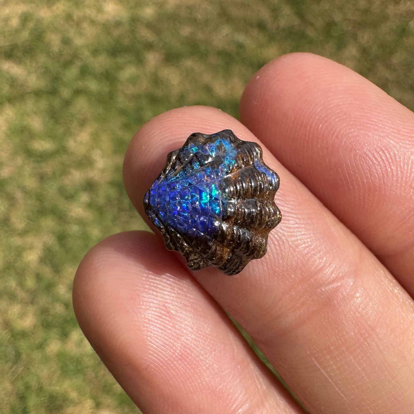 4.62 Ct fan shell boulder opal carving