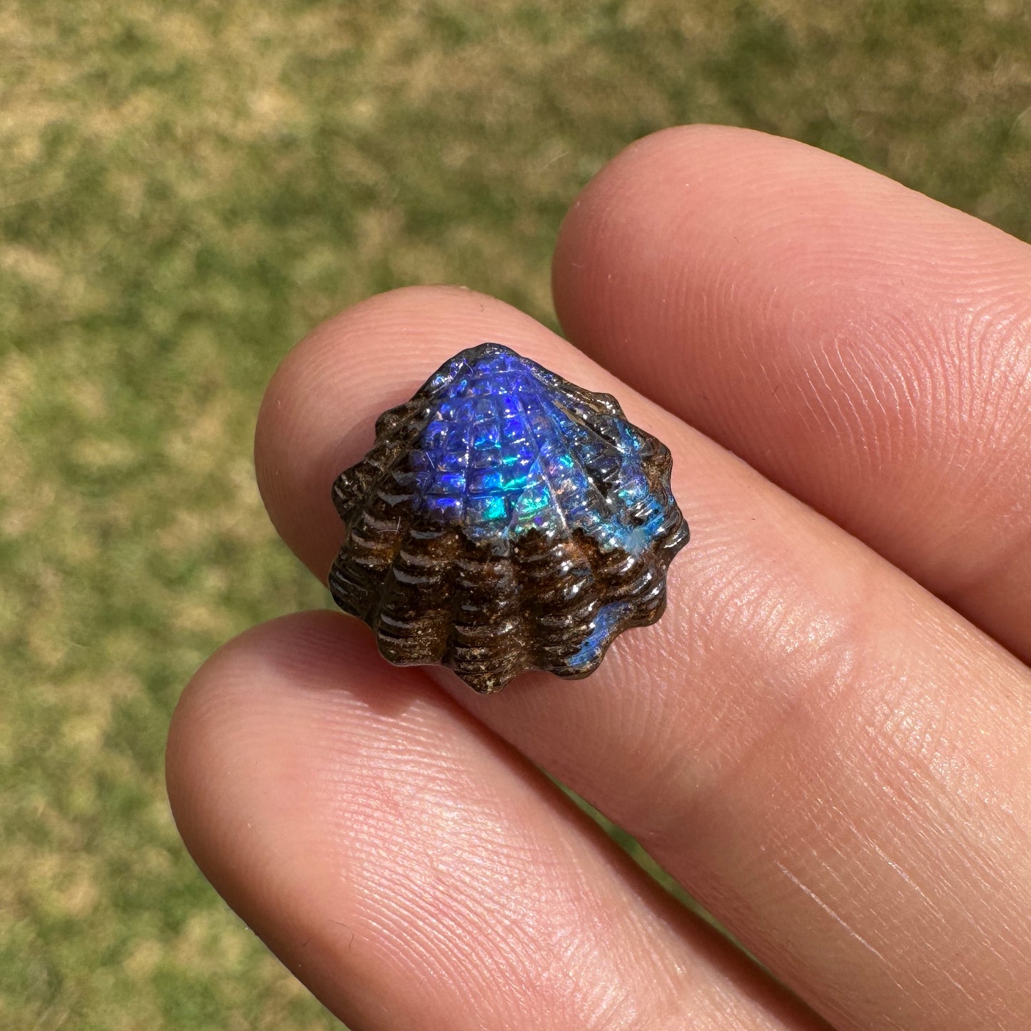 4.62 Ct fan shell boulder opal carving