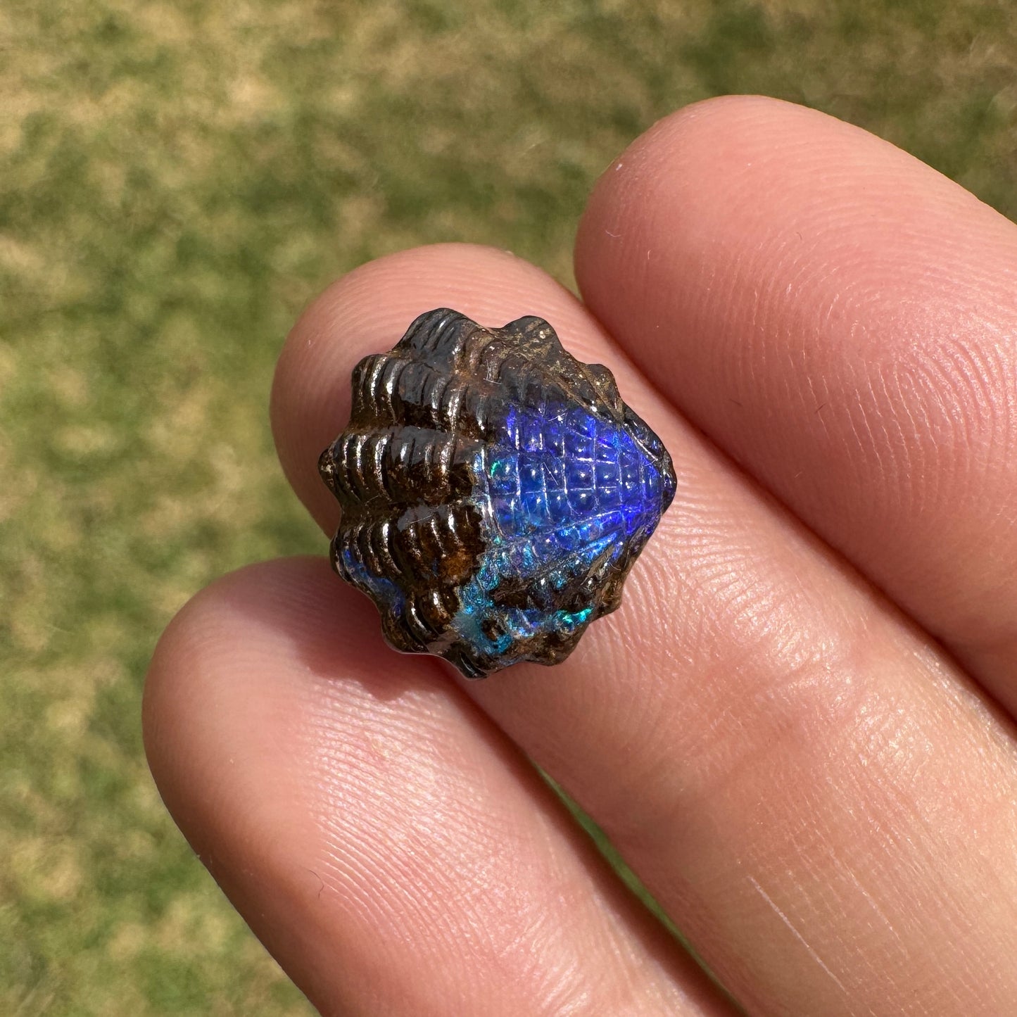 4.62 Ct fan shell boulder opal carving