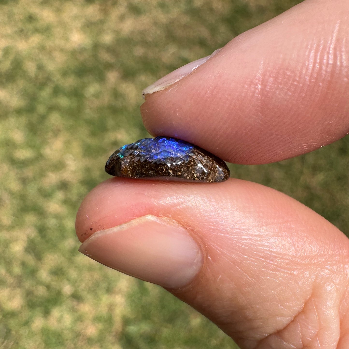 4.62 Ct fan shell boulder opal carving