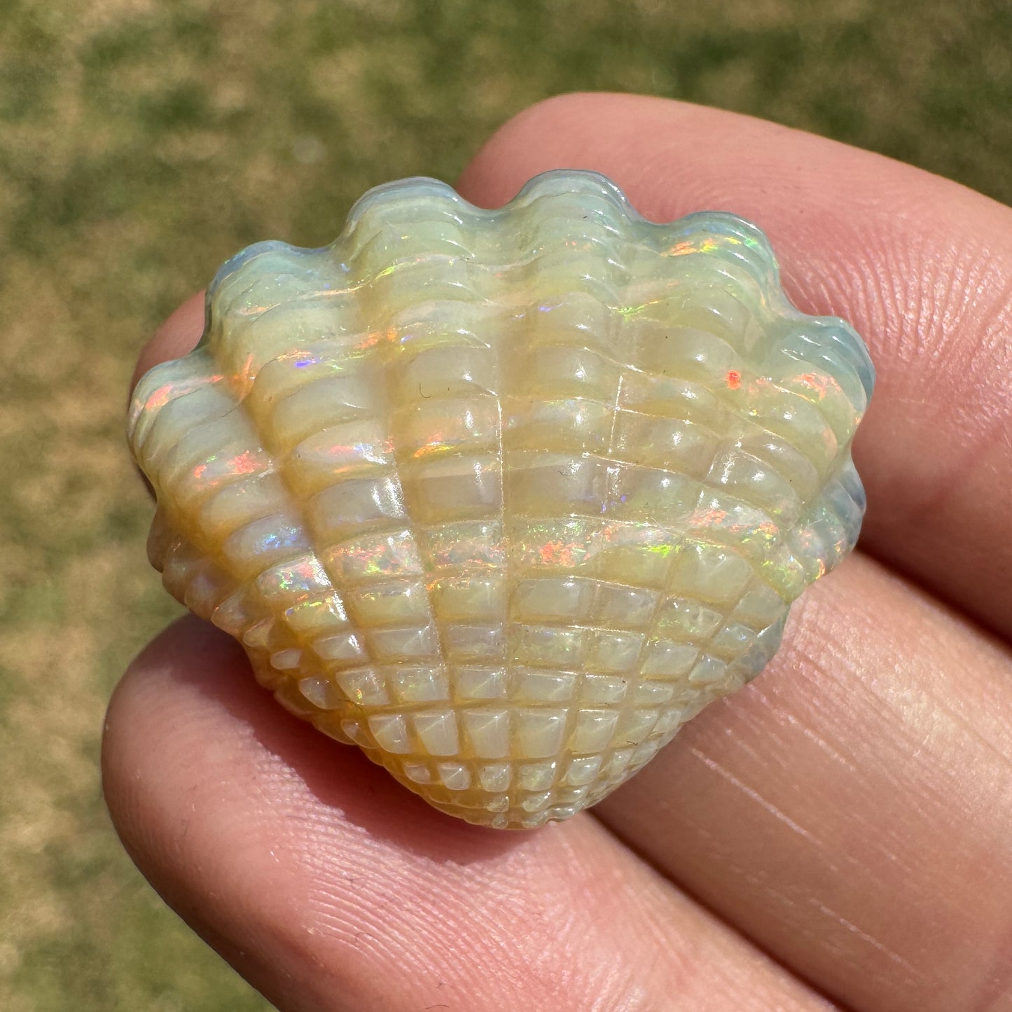 29.70 Ct fan shell boulder opal carving