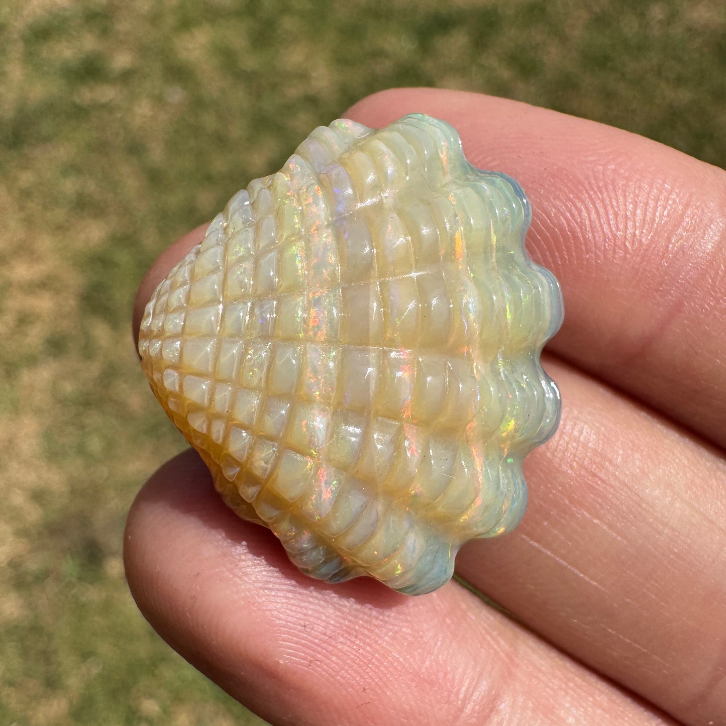 29.70 Ct fan shell boulder opal carving