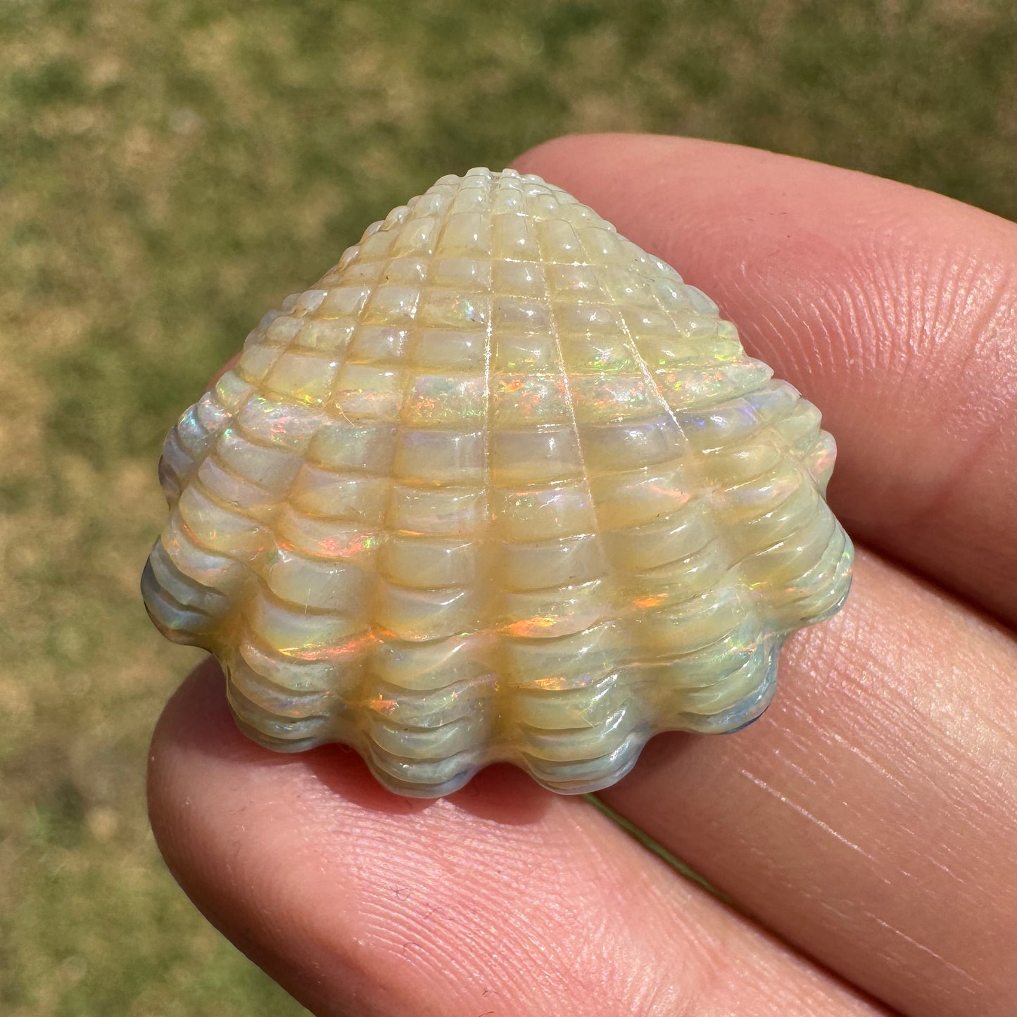 29.70 Ct fan shell boulder opal carving