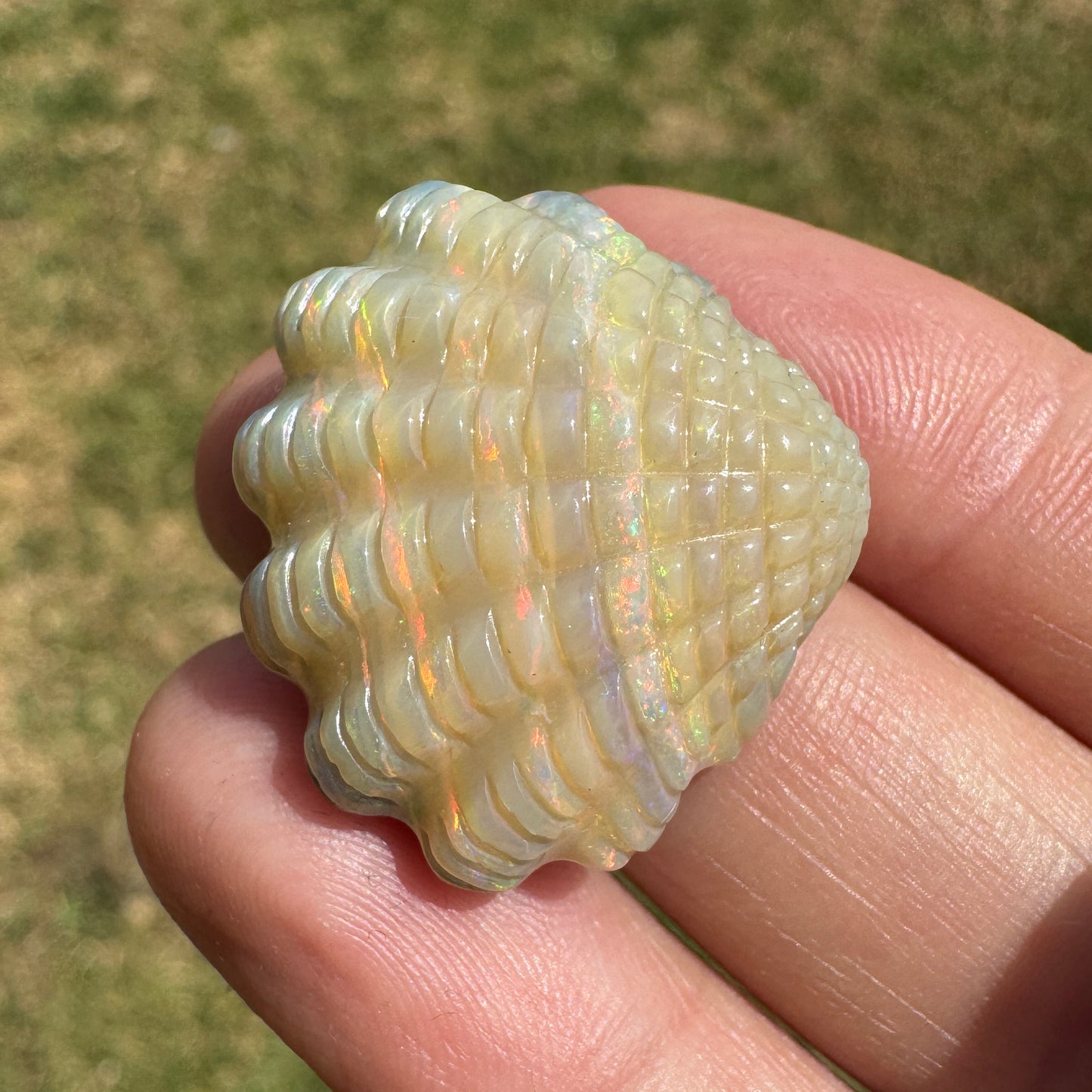29.70 Ct fan shell boulder opal carving