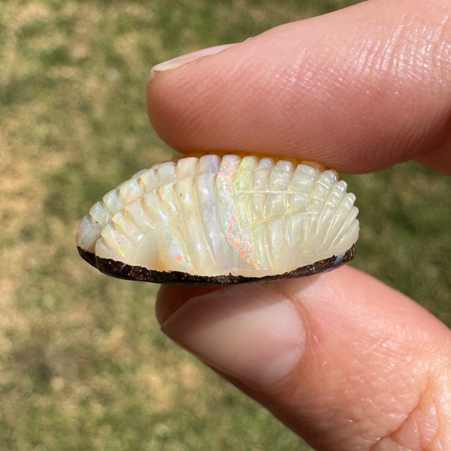 29.70 Ct fan shell boulder opal carving
