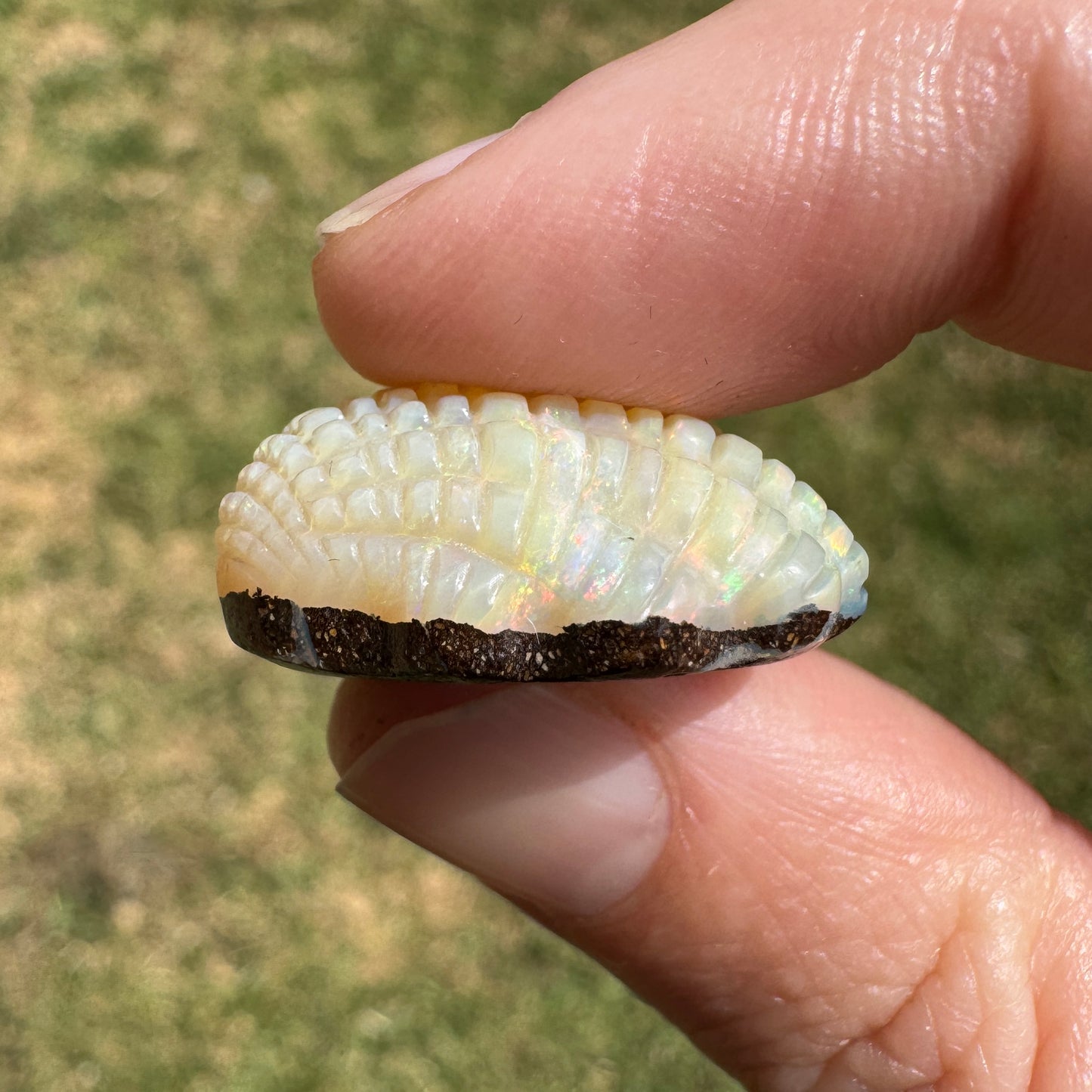 29.70 Ct fan shell boulder opal carving
