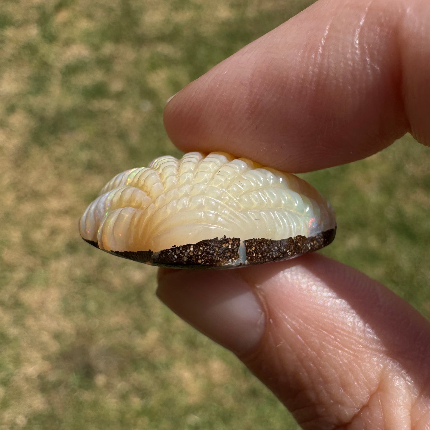 29.70 Ct fan shell boulder opal carving