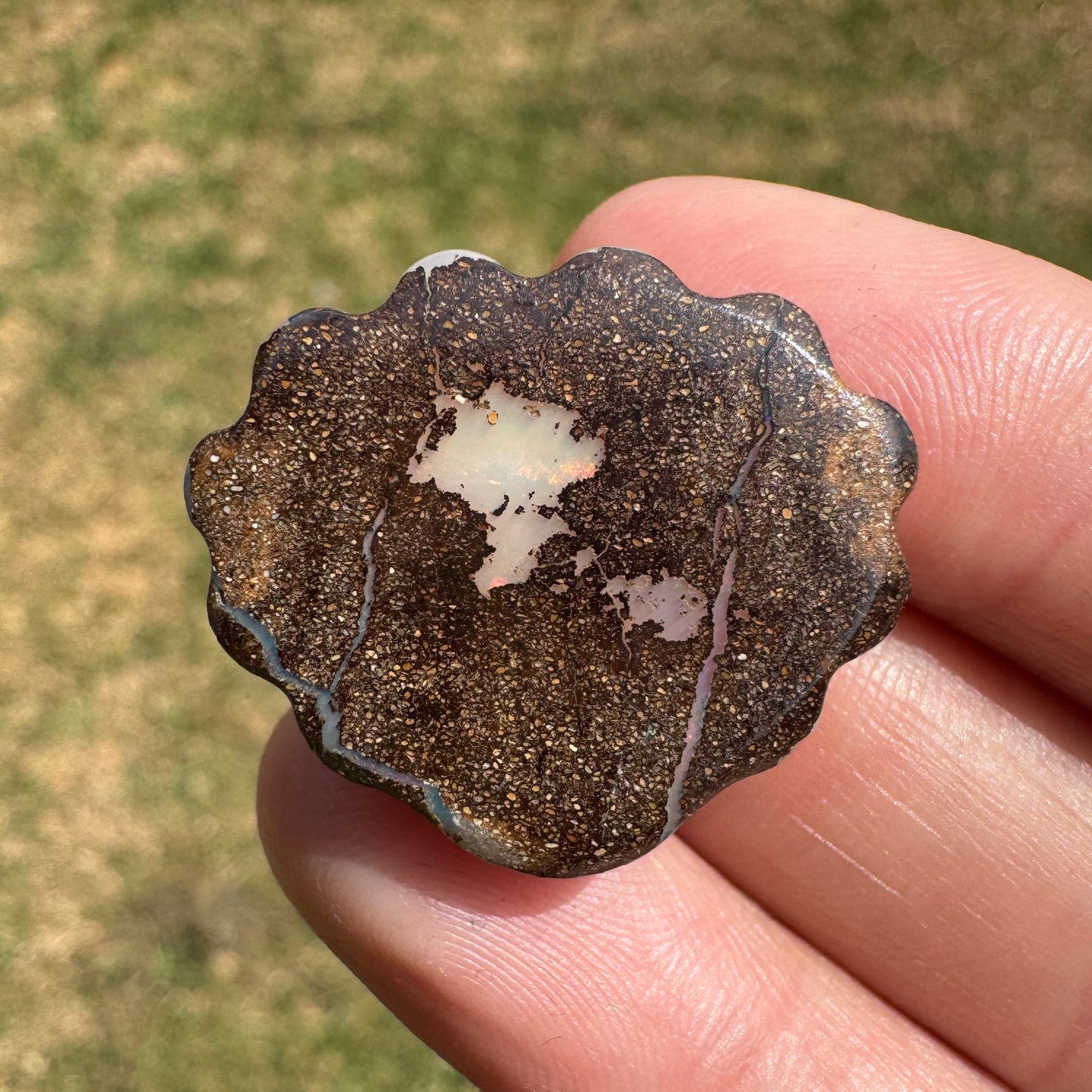 29.70 Ct fan shell boulder opal carving