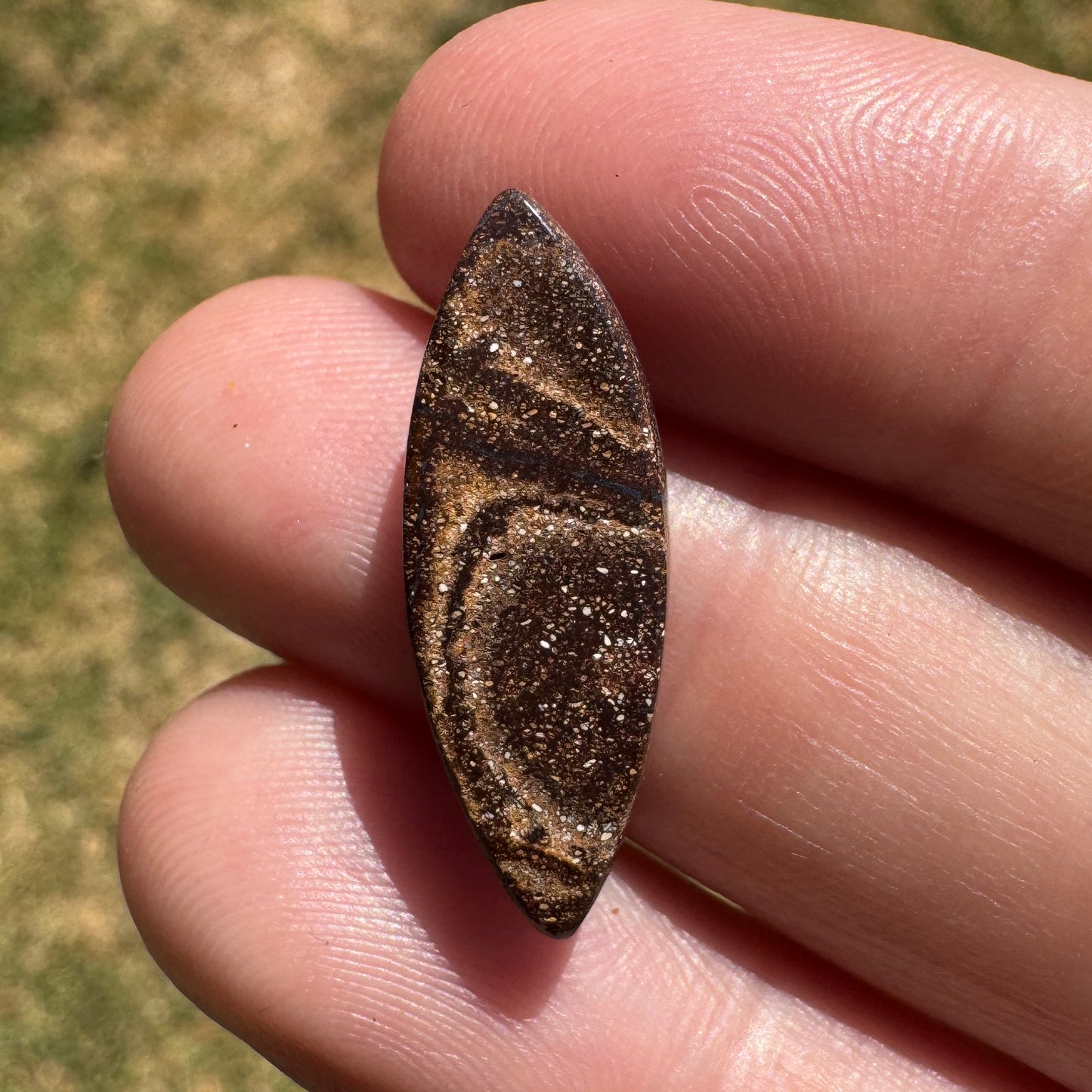 5.60 Ct striped boulder opal